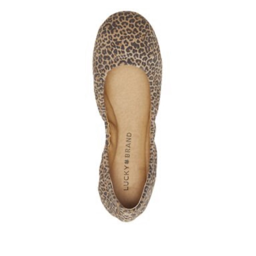 Cheetah Flats